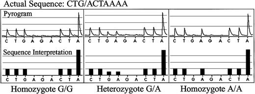 Fig. 1. Pyrosequencing of normal donor DNA for SNP 8p22. / The actual pyrograms are shown in the top rows, and the DNA sequence interpreted by the pyrosequencing software is shown in the bottom rows. The actual sequence for SNP 8p22 is CTG/ACTAAAA. A homozygous G/G sample is shown in the left panels; a heterozygous G/A sample is shown in the middle panels; a homozygous A/A sample is shown in the right panels.