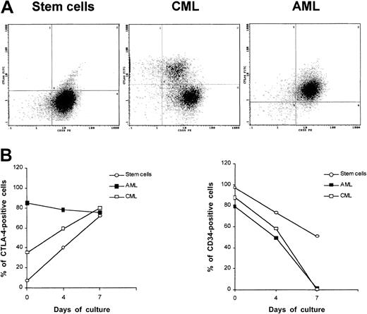 Fig. 3. CTLA-4 expression in CD34+ stem cells and AML and CML neoplastic cells. / (A) Double staining of peripheral blood normal CD34+ stem cells and neoplastic cells from AML and CML patients with FITC-conjugated anti–CTLA-4 scFv 83 and PE-conjugated anti-CD33 mAb by flow cytometry. (B) Kinetics of CTLA-4 surface expression after treatment of normal CD34+ stem cells and neoplastic cells from AML and CML patients resting or stimulated with GM-CSF. Cells were analyzed by flow cytometry to determine the percentage of positive cells. These results are representative of 3 independent experiments.