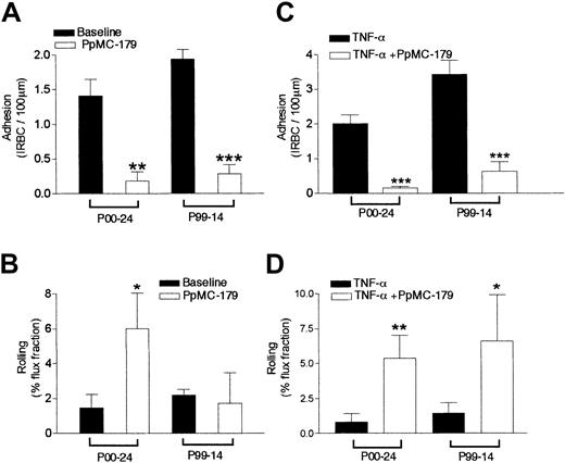 Fig. 3. Inhibition of cytoadherence in resting and stimulated skin grafts by PpMC-179 in vivo. / PpMC-179 (2 μM) in a volume of 100 μL was administered intravenously into the SCID mouse with an unstimulated or TNF-α–stimulated (100 ng intradermally, 4 hours) human skin graft. The peptide was allowed to circulate for 10 minutes before IRBCs were injected. (A) PpMC-179 significantly inhibited the adhesion of parasite isolate P00-24 (n = 13 for baseline and 8 with PpMC-179) and P99-14 (n = 6 for baseline and 5 with PpMC-179) in unstimulated skin grafts. **P < .01 and ***P < .001 compared to baseline. (B) Rolling flux fraction of parasite isolate P00-24 was increased but not P99-14. *P < .05 compared to baseline. (C) In TNF-α–stimulated skin grafts, there was a dramatic inhibition of IRBC adhesion of both parasite isolate P00-24 (n = 14 for TNF-α alone and 10 for TNF-α + PpMC-179) and P99-14 (n = 3 for TNF-α alone and 5 for TNF-α + PpMC-179) . ***P < .001 compared to TNF-α. (D) The reduction in adhesion was associated with an increase in rolling flux fraction for parasite isolate P00-24. **P < .01 compared to TNF-α.