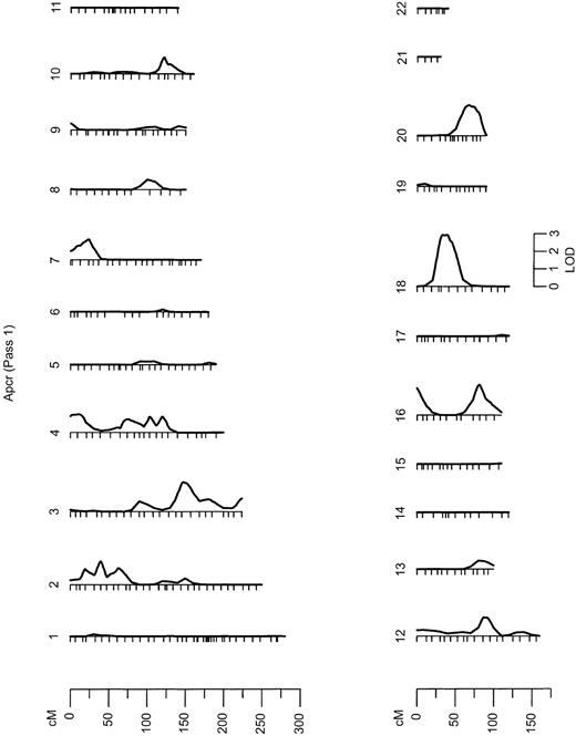 Fig. 1. Results from the autosomal multipoint genome scan. / LOD scales are shown for all chromosomes on which the maximum LOD score exceeds 1. Hatch marks along the length of the chromosomes indicate the positions of genotyped markers. APCR indicates analyzed phenotypes.