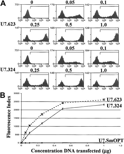 Fig. 2. Correction of aberrant splicing by modified U7 snRNAs in EGFP-705U HeLa cells. / (A) FACS analysis of HeLa EGFP-705U cells transiently transfected with 0.05 to 1.0 μg U7 snRNA plasmids (indicated on the left). (B) Cells transfected with U7.623, U7.324, and control U7.SmOPT (3 independent experiments) were analyzed in terms of FI (percentage of cells scoring above the background threshold × mean fluorescence intensity of that cell subpopulation).