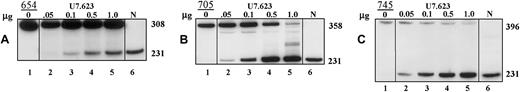 Fig. 3. Correction of aberrant splicing by U7.623 snRNA in β-globin IVS2 mutant cells. / Total RNA from HeLa β-globin IVS2 mutant cells transiently transfected with 0.05 to 1.0 μg (indicated at the top) U7.623 snRNA plasmid was analyzed by RT-PCR. (A) β-Globin IVS2-654, (B) β-globin IVS2-705, and (C) β-globin IVS2-745 HeLa cells. Lane 1, untreated cells; lanes 2 to 5, cells transfected with U7.623 plasmid; lane 6, (N) RNA from normal human blood. The sizes (in nucleotides) of PCR bands representing aberrantly (308, 358, and 396) and correctly (231) spliced mRNAs are indicated on the right. Similar designations were used in Figures 5, 6C, and 7A.