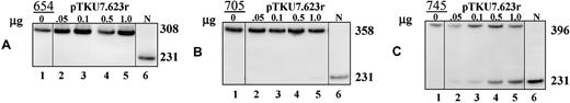 Fig. 5. Correction of aberrant splicing by lentiviral plasmids in β-globin IVS2 mutant HeLa cells. / Total RNA from HeLa β-globin IVS2 mutant cells transiently transfected with 0.05 to 1.0 μg pTKU7.623r lentiviral construct was analyzed by RT-PCR. (A) β-Globin IVS2-654, (B) β-globin IVS2-705, and (C) β-globin IVS2-745 cells. Lane 1, untreated cells; lanes 2 to 5, cells transfected with pTKU6.623r; lane 6, (N) RNA from normal human blood.