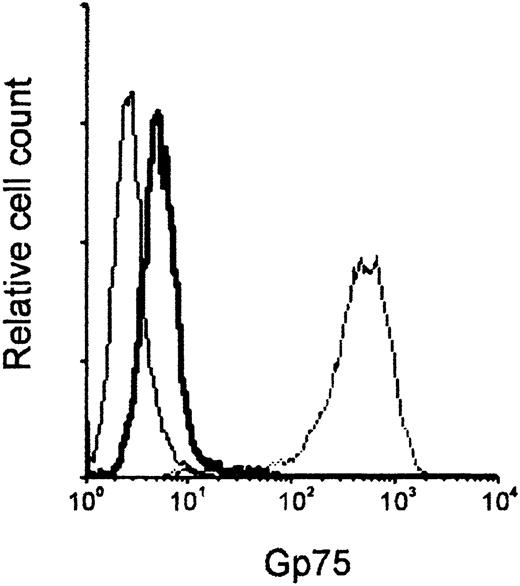 Fig. 1. Gp75 expression on B16F10 melanoma cells. / The interaction of mAb TA99, which binds the gp75 melanocyte differentiation antigen, with in vitro–grown B16F10 cells was analyzed by flow cytometry. B16F10 cells were incubated with control mIgG2a (thin solid line) or TA99 (thick solid line), and FITC-conjugated anti–mouse IgG, to assess gp75 membrane expression. Total gp75 expression was assayed by TA99 staining on permeabilized B16F10 cells (dashed line).