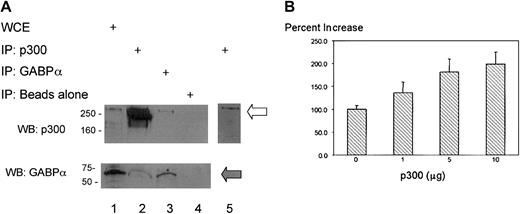Fig. 7. Physical interaction of GABP and p300 in myeloid cells and effect of p300 on transcriptional coactivation of the CD18 promoter. / Transcriptional coactivator p300 physically contacts GABP and increases responsiveness of the CD18 promoter to RA. (A) A 0.75-mg extract from U937 cells treated with 10−5 M RA for 48 hours was incubated with antibodies to p300 (lane 2), GABPα (lane 3), or no antibody (lane 4), followed by precipitation with protein-G sepharose. Immunoprecipitated products and 50 μg whole-cell extract (lane 1) were immunoblotted with antibodies to p300 and GABPα, as indicated. Open arrow indicates p300, and filled arrow indicates GABPα. Lane 5 represents a brief exposure of lane 2. WCE indicates whole cell extract; IP, immunoprecipitation; WB, Western blot. (B) U937 cells that were stably transfected with CD18(−918)/luc were transiently transfected with the indicated quantities of the transcriptional coactivator p300. Transfected cells were divided into 2 equal aliquots, which were treated with 10−5 M RA or DMSO (0.1%), and RA activation was measured 14 hours later. All data represent the mean and standard error of at least 3 independent transient transfections.
