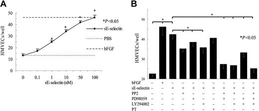 Fig. 1. sE-selectin induces HMVEC chemotaxis through Src and PI3K pathways. / (A) HMVECs (1 × 106 cells/mL) in the lower chamber were incubated with various concentrations of sE-selectin in the upper chamber for 2 hours at 37°C. PBS was used as a negative control and bFGF (60 nM) as a positive control. Results are expressed as the number of cells migrating through the membrane per well ± SEM from 3 independent experiments. sE-selectin showed a dose-dependent increase in HMVEC chemotaxis compared with negative control PBS (P < .05). *Represents a significant difference (P < .05) between the sE-selectin and negative control PBS. (B) For inhibition studies, HMVECs were pretreated with the respective inhibitor or inhibitor combination (10 μM PP2, LY294002, or PD98059; or 50 ng/mL PT) for 2 hours at 37°C and then assayed in 48-well chemotaxis chambers in response to 50 nM of sE-selectin. Results are expressed as the number of cells migrating through the membrane per well ± SEM from 6 independent experiments. PT in the figure represent pertusis toxin. *Represents a significant difference (P < .05) between the respective groups. sE-selectin induced HMVEC chemotaxis predominantly through the Src and PI3K pathways.