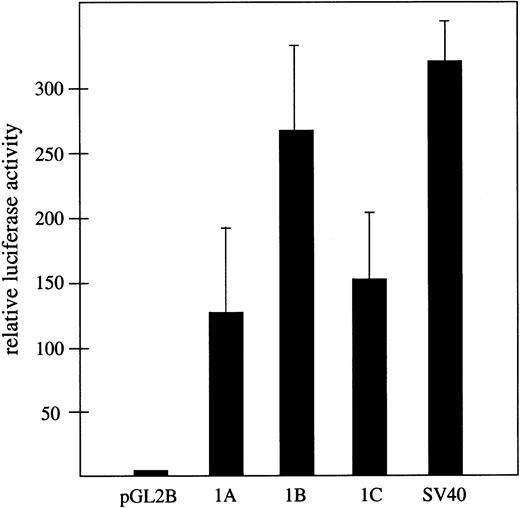 Fig. 2. Transcriptional promoter activity associated with exons 1A, 1B, and 1C. / Shown is firefly luciferase activity assayed 48 hours after transfection of HEK293T cells, relative to the activity of cells transfected in parallel with the promoterless pGL2 basic control vector. Assays were performed in triplicate and transfection efficiency was normalized with respect to cotransfected Renilla luciferase activity in the same cultures. As a positive control, luciferase activity expressed from a standard SV40 promoter is shown.