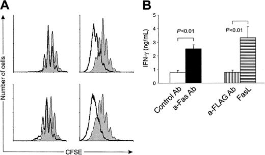 Fig. 2. Fas ligation at the time of activation accelerates cell division and IFN-γ production in the surviving cells. / Naive OT-II T cells were activated in coculture with dendritic cells pulsed with 2 mg/mL OVA. (A) Cell division was determined at day 3 (left panels) and day 6 (right panels). Upper panels: cells costimulated with anti-Fas (open histograms) or control antibody (shaded histograms). Lower panels: cells costimulated with cross-linked FasL (open histograms) or anti-FLAG (shaded histograms). OT-II T cells were CFSE-labeled prior to coculture. A representative staining from 1 of 3 separate experiments for each panel is shown. Cells were stained with phycoerythrin-conjugated anti-CD4 and 7-AAD. Events were gated for viable (7-AAD−) CD4 T cells. (B) IFN-γ production in cocultures of naive OT-II T cells and DCs. DCs were pulsed with 2 mg/mL ovalbumin, and either control (■) or anti-Fas (a-Fas) (▪) or anti-FLAG (a-FLAG) (▥) mAb or FasL (▤) was added at the start of coculture. IFN-γ concentration was determined from supernatants at day 5 using specific ELISA. Results are the mean ± SEM of 3 individual experiments. P values were calculated using the Student t test.