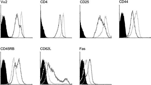 Fig. 3. Differential expression of cell surface markers on responding CD4 T cells that either survive Fas ligation or become apoptotic. / Expression of TCR (Vα2), CD4, CD25, CD44, CD45RB, CD62L, and Fas was detected on responding T cells at day 3. Cells that were surviving Fas ligation (light gray open histograms) or becoming apoptotic (dark gray open histograms) were analyzed separately as explained in “Materials and methods.” Black histograms represent appropriate control stainings.