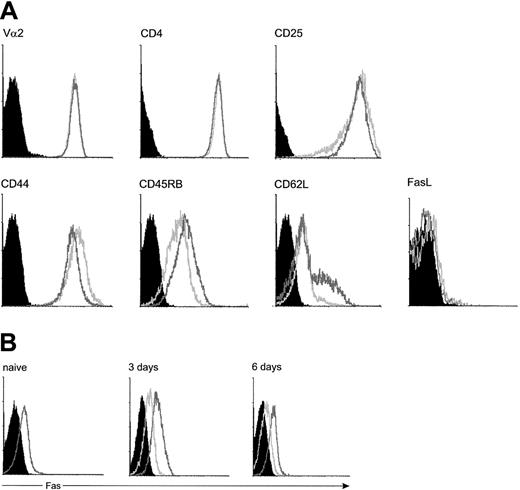 Fig. 4. Fas-costimulated and control-activated CD4 T cells are phenotypically different. / (A) Expression of TCR (Vα2), CD4, CD25, and CD45RB on viable CD4 T cells was determined at day 3 and of CD44, CD62L, and FasL at day 6 on Fas-costimulated (light gray open histograms) and control-activated (dark gray open histograms) cells. Black histograms: staining control. (B) Expression of Fas on naive CD4 T cells and after 3 and 6 days of activation on Fas-costimulated and on control-activated cells.