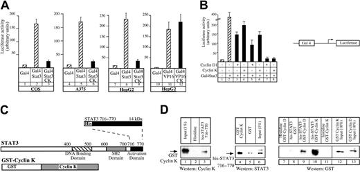 Fig. 2. Cyclin K interacts with the activation domain of STAT3. / (A) COS, A375, or HepG2 cells were cotransfected with vectors expressing a Gal4 luciferase reporter gene and the Gal4-STAT3 expression vector, in the presence or absence of the cyclin K expression vector (lanes 1-9). Following transfection, cells were serum starved and stimulated as described for Figure 1 for 4 hours. Identical experiments were performed in parallel in HepG2 cells using a Gal4-VP16 plasmid (lanes 10-12). (B) A375 cells were transfected as described in panel A with increasing amounts of cyclins (150 ng, lanes 3-4; 250 ng, lanes 5-6; 500 ng, lanes 7-8) in the presence of the Gal4-STAT3 expression vector. (C) Representation of the carboxy-terminal his-STAT3716–770 and full-length GST–cyclin K fusion protein used in pull-down experiments. SH2 indicates Src homology domain. Dotted lines illustrate the correspondence of fusion protein to the C terminal part of the protein below. (D) Purified GST–cyclin K fusion proteins (50-100 ng) were analyzed for binding to histidine or his-STAT3716–770fusion proteins (50-100 ng) corresponding to the activation domain of STAT3 immobilized on nickel-agarose beads (lanes 1-3). In parallel (lanes 4-6), his-STAT3716–770 (50-100 ng) was tested for binding to GST or full-length GST–cyclin K (50-100 ng) immobilized on sepharose beads. The same experiments were then repeated using equivalent amounts (3 pM) of purified GST–cyclin D or GST–cyclin K, with his or his-STAT3716–770 immobilized on nickel-agarose beads (lanes 7-13). Note that the Western blot experiment in panel D, lanes 7-13, was performed with an antibody directed against GST, and that lanes 12 to 13 correspond to a 10% input.