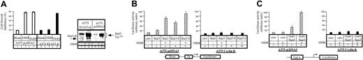 Fig. 4. STAT3 transcriptional activity in cyclin K–expressing cells. / (A) Parental or STAT3-β–expressing A375 cells were plated in triplicate in 96-well dishes in the presence of 2% serum and a dilution series of the indicated cytokines. Cell proliferation was evaluated as described for Figure 3. In parallel, overexpression of STAT3-β was verified by Western blot analysis using anti-STAT3 phosphorylated Tyr705 (A, lanes 7-10). (B) A375 control (lanes 1-5) or cyclin K–expressing cells (lanes 6-10) were cotransfected with a vector expressing a luciferase reporter gene containing 2 copies of a STAT3 consensus binding site linked to a minimal thymidine kinase promoter (Tk) together with vectors expressing STAT3 or its constitutive active form STAT3-C. Following transfection, cells were serum starved for 15 hours and left untreated or stimulated overnight with OSM (10 ng/mL). cmv indicates the corresponding parental expression vector. (C) A375 parental (lanes 1-4) or cyclin K–expressing cells (lanes 5-8) were cotransfected with the vector expressing a Gal4 luciferase reporter gene and Gal4 fusion protein linked to the STAT3 activation domain. Following transfection, cells were serum starved and stimulated as above for 4 hours.