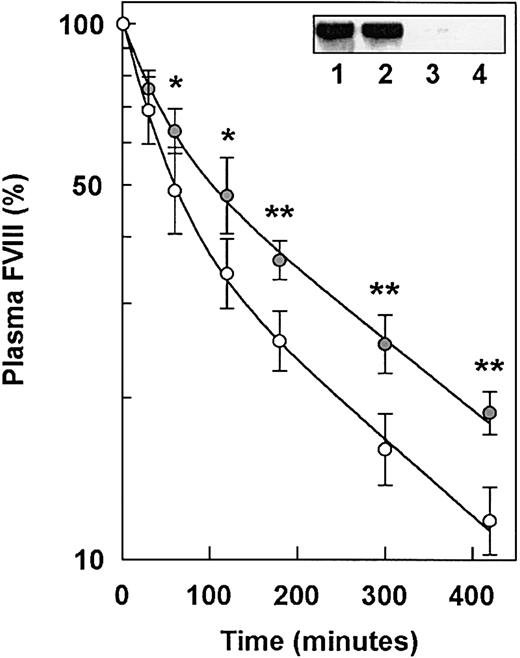 Fig. 3. Plasma removal of human FVIII in MX1cre+LRPflox/flox and control LRPflox/flox mice. / MX1cre+LRPflox/flox mice () (n = 6) and control LRPflox/flox mice (○) (n = 6) were injected 3 times intraperitoneally with pI:pC at 2-day intervals. At 10 days after the final injection, endogenous mouse plasma FVIII levels were 1.7 U/mL (range, 1.5-1.9 U/mL) and 3.3 U/mL (range, 2.8-3.8 U/mL) for control LRPflox/flox and MX1cre+LRPflox/flox mice, respectively. Endogenous plasma VWF levels were 1.1 U/mL (range, 1.0-1.3 U/mL) and 1.3 U/mL (range, 1.2-1.4 U/mL), for control LRPflox/floxand MX1cre+LRPflox/flox mice, respectively. Then, purified human FVIII (20 IU) was administered intravenously. Plasma removal was monitored at 1, 30, 60, 120, 180, 300, and 420 minutes after injections, and FVIII levels were determined. Data represent geometric mean values and 68% confidence intervals, and are expressed as a percentage of the amount of FVIII present in thet = 1 minute plasma sample. The curves were analyzed by means of double-exponential fits. *P < .02 and **P < .001, significantly different from control LRPflox/flox mice, with the use of the Mann-WhitneyU test. Inset shows detection of LRP in the liver membrane extracts of control LRPflox/flox mice (n = 2) (lanes 1-2), and MX1cre+LRPflox/flox mice (n = 2) (lanes 3-4). Immunoblotting experiments were performed as described in “Materials and methods.”