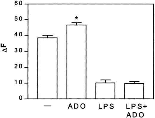 Fig. 1. Adenosine increases macropinocytosis in iDCs, but not in mDCs. / DCs were treated with or without 3 μg/mL LPS in the presence or absence of 10−4 M adenosine (ADO) for 24 hours at 37°C. Thereafter, DCs were washed and incubated with 1 mg/mL Texas red–BSA at 37°C. At the indicated time points, cells were stopped with cold PBS, and the Texas red–BSA accumulation was measured by flow cytometry. Fluorescence of cells incubated at 4°C was subtracted from the fluorescence of cells incubated at 37°C and given as ΔF. Data are net MFI ± SEM (n = 4). Differences between iDCs stimulated with and without adenosine, *P < .02.— indicates control.