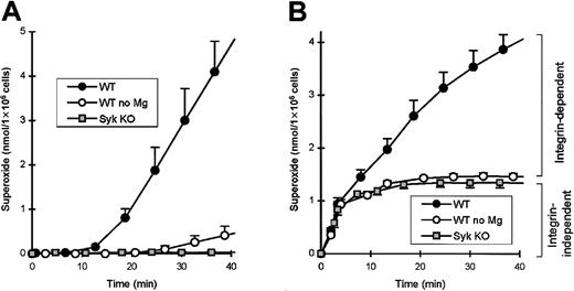 Fig. 2. Syk is required for the integrin-dependent, but not the integrin-independent, component of the fMLP-induced respiratory burst in adhesion. / Wild-type or syk−/− neutrophils were plated on a fibrinogen-coated surface either in the presence or absence of Mg2+ salts and stimulated with 50 ng/mL TNF (A) or 3 μM fMLP (B) at zero time point. Background superoxide release in nonstimulated samples has been subtracted. Since Mg2+ ions are essential for the function of integrins, wild-type values in the absence of Mg2+ represent the integrin-independent component of the respiratory burst.