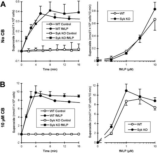 Fig. 3. Syk is not required for the fMLP-induced respiratory burst in suspension. / Wild-type or syk−/− neutrophils were preincubated in the absence (A) or presence (B) of 10 μM CB and stimulated with the indicated concentrations of fMLP. For kinetic analysis of superoxide release, cells were stimulated with 3 μM fMLP. The fMLP dose-response curve was obtained from values after 5 minutes of stimulation.
