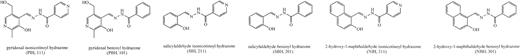 Fig. 1. Structure of pyridoxal isonicotinoyl hydrazone (PIH) and its analogs. / These compounds were synthesized by Schiff base condensation as described previously,12 and the absence of significant amounts of the starting materials in these preparations was confirmed by analytical thin-layer chromatography. Identity and purity of the hydrazones were confirmed by 1H- and 13C-NMR.1H spectra were similar to those reported previously.12 Solutions of the chelators were prepared in 0.1 M NaOH in 50% aqueous ethanol and were immediately used to prevent their base-catalyzed hydrolysis. Control experiments in which stock solutions were prepared in dimethyl sulfoxide yielded similar results (not shown), indicating that any hydrolysis that occurred in the basic solutions was negligible.