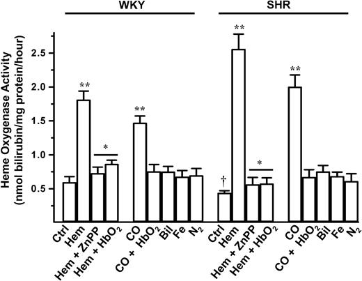 Fig. 4. HO activities in the aortas of young (8-week-old) SHRs and age-matched WKYs. / A significantly lower HO-1 activity in SHRs than WKYs (†P < .05) was registered. Hemin (Hem) and CO greatly increased HO activity in SHRs and age-matched WKYs. ZnPP and HbO2 nullified the hemin-dependent increase in HO activity. **P < .01 versus control (Ctrl). *P < .05 versus hemin-treated animals. Nitrogen (N2), biliverdin (Bil), and iron (Fe) had no effect on HO activity. n = 4 for each group. Error bars indicate means ± SEM.