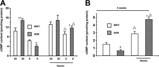Fig. 7. Effects of hemin on cGMP levels in the aortas from SHRs and WKYs. / (A) Changes in cGMP contents in 20- and 8-week-old SHRs and WKYs. (B) Changes in cGMP contents in 4-week-old SHRs and WKYs. The administration of hemin significantly enhanced the cGMP level in aortas from 4- and 8-week-old SHRs and the respective age-matched WKYs, but not 20-week-old SHRs or WKYs. *P < .05 versus all other groups. †P < .05 versus age-matched and hemin-treated WKYs. ††P < .05 versus any other groups without hemin treatment. ΔP < .05 versus age-matched animals of the same species but without hemin treatment. The ages of the animals in weeks were indicated as “20” and “8” in (A). n = 4 for each group. Error bars indicate means ± SEM.