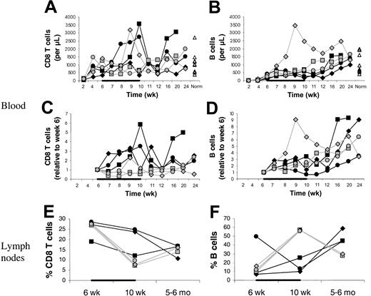 Fig. 6. CD8 T- and B-cell counts in blood and LNs. / Counts of CD8 T cells (A,C) and B cells (B,D) in blood and percent CD8 T cells (E) and B cells (F) in axillary LNs. Animals were treated with IL-7 (filled symbols) or placebo (open symbols) between 6 and 10 weeks after transplantation (indicated by the black horizontal bar). “Norm” shows values determined in normal animals of similar age as the animals receiving transplants. In one placebo-treated animal, LN sampling at 5 to 6 months after transplantation was not done. For the LNs, percents of total LN cells are given.