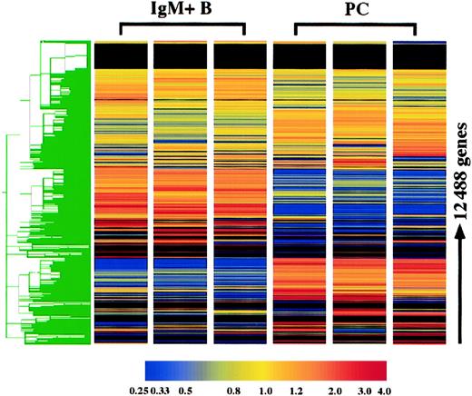 Fig. 1. Hierarchical clustering of plasma cell and IgM+ B-cell replicates. / The expression of 12 422 genes and 66 hybridization controls were examined in 3 plasma cell (PC) and IgM+ B-cell replicates using Affymetrix oligonucleotide array, MG-U74 AV2. Hierarchical clustering was performed using Gene Spring following per gene and per chip normalizations of the average difference. As the color bar indicates, yellow represents the median expression of each gene, normalized to 1.0, and red and blue represent elevated and reduced expression relative to the median, respectively. For genes with a median raw average difference of less than 10.0, per gene normalizations were made relative to 10.0 instead of the median.