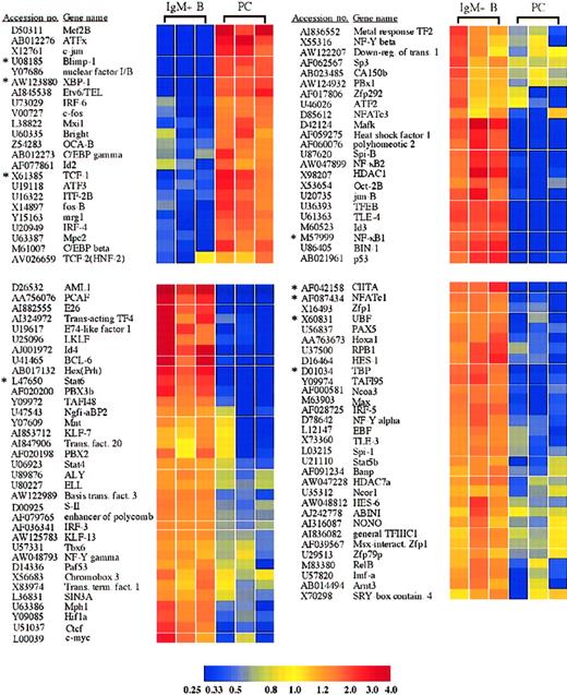 Fig. 2. Transcription factors with significantly altered expression in plasma cells. / Twenty-three transcription factors were induced or up-regulated in plasma cells versus B cells, whereas 89 transcription factors were lost or down-regulated. The genes are listed according to the cluster analysis, which groups genes based on the relatedness of the expression pattern. Each of these genes displayed a statistically significant 2-fold or greater difference in expression between plasma cells and B cells. *Genes for which quantitative RT-PCR was performed (Table1).