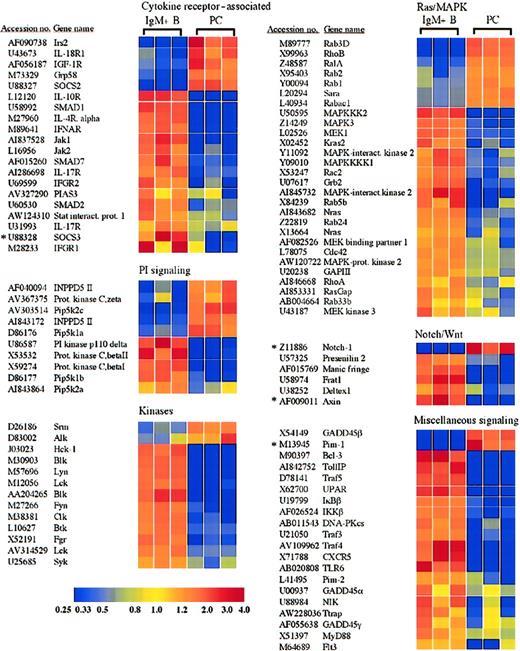 Fig. 4. Receptors and signaling molecules differentially expressed in plasma cells and B cells. / Select receptors and signaling molecules representing several signaling families, which displayed significantly altered expression in plasma cells, are shown. A complete list of all of the genes examined is available in the supplemental data. *Genes for which quantitative RT-PCR was performed (Table 1).