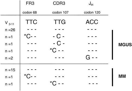 Fig. 1. Intraclonal heterogeneity observed in tumor VH gene sequences at the MGUS stage in case 1 is identified as residual, persisting clones at the myeloma stage of disease. / The mutational frequency of variations in clonal sequences exceededTaq error in sample 1/1 from the MGUS stage, with repeated nucleotide changes seen in 2 clones from separate PCRs (codons 107 and 120) confirming intraclonal heterogeneity. In sample 1/2 from the MM stage, some of these mutations were again identified (codons 68 and 107), clearly excluding Taq error. The mutational frequency of intraclonal variation, however, was comparable with the backgroundTaq misincorporation rate in this sample, suggesting a cessation of somatic mutation at the MM stage. Most likely, variant clones here represent residual MGUS cells, as disease evolution was remarkably rapid. Only informative codon sequences at the nucleotide level are shown, with homology to the donor germ line gene V3-11 depicted as dashes. Mutations repeatedly observed in MGUS and MM samples are marked with an asterisk. Numbers of clones with each sequence varied (n = 1-26). FR3 indicates framework region 3; and JH, joining (H) gene.