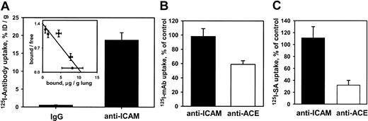 Fig. 2. 125I–anti-ICAM accumulates without internalization in the isolated rat lungs. / (A) Accumulation of 125I–anti-ICAM or125I-IgG perfused for 1 hour at 37°C. Inset shows a Scatchard analysis of 125I–anti-ICAM binding. (B) Temperature dependence of anti-ICAM uptake (▪) and anti-ACE uptake (■) in the lungs. At 4°C, the pulmonary uptake of125I–anti-ACE is inhibited, whereas the uptake of125I–anti-ICAM is not affected (uptake at 4°C is shown as percent of the 100% control value attained at 37°C). (C) Disappearance of anti-ICAM (▪) and anti-ACE (■) from the luminal surface in the lungs perfused at 37°C. After accumulation in the lungs, biotin–anti-ICAM, but not biotin–anti-ACE, is accessible to the blood for a prolonged time. 125I-streptavidin (125I-SA) was perfused in the lungs either immediately after biotinylated antibody accumulation or after 60 minutes of additional perfusion at 37°C with antibody-free buffer. Data of125I-SA uptake after 60 minutes delay are shown as percent of that observed immediately after biotinylated antibody accumulation (100% level). All data are shown as means ± SEM; n = 4.