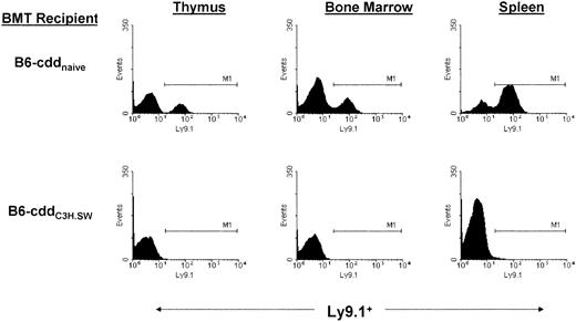 Fig. 8. Absence of donor chimerism in central and peripheral lymphoid compartments of B6-cdd recipients. / TNFR1−/− marrow was transplanted into B6-cdd (Ly9.1−) naive and primed recipients 1 day after 9.0 Gy TBI. Thymus, bone marrow, and spleen cells were analyzed 14 days later. Ly9.1 (clone 30C7) staining identifies expression (Ly9.1) on most thymocytes, peripheral T and B cells, bone marrow, lymphoid cells, and hematopoietic progenitors of the C3H.SW strain but not C57BL/6 (Ly9.1−). B6-cdd naive recipients contained 24.2%, 23.3%, and 68.9% donor positive in the thymus, bone marrow, and spleen, respectively, whereas primed B6-cdd recipients demonstrated an absence of donor cells in all compartments tested. M1 indicates channel marker.