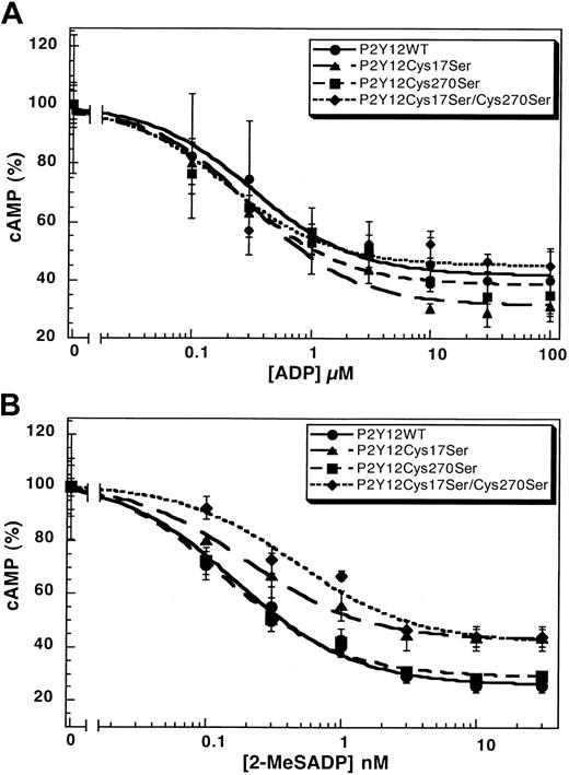 Fig. 3. Concentration-response curves. / Curves of (A) ADP- or (B) 2-MeSADP–induced inhibition of adenylyl cyclase stimulated with 20 μM forskolin in CHO-K1 cells stably expressing either P2Y12WT, P2Y12Cys17Ser, P2Y12Cys270Ser, or P2Y12Cys17Ser/Cys270Ser. Data were normalized to the maximal response obtained in the absence of ADP or 2-MeSADP (mean ± SE, n = 3-7).