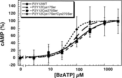 Fig. 4. Effect of BzATP on the wild-type and mutant P2Y12 receptors. / BzATP antagonizes 1 μM ADP-induced inhibition of adenylyl cyclase in CHO-K1 cells stably expressing either P2Y12WT, P2Y12Cys17Ser, P2Y12Cys270Ser, or P2Y12Cys17Ser/Cys270Ser stimulated with 20 μM forskolin. Data were normalized to the maximal response obtained with antagonist (mean ± SE, n = 3).