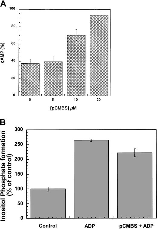 Fig. 5. Effects of pCMBS on the P2Y1 and P2Y12 receptors. / (A) Cells stably expressing the P2Y12 receptor were pretreated with different concentrations of pCMBS for 10 minutes at 37°C before addition of 20 μM forskolin. Data were normalized to the value obtained with forskolin alone, taken as 100%, and expressed as mean ± SE (n = 4-6). (B) Cells stably expressing the P2Y1 receptor were pretreated with 20 μM pCMBS for 10 minutes at 37°C and stimulated with 10 μM ADP, and the total inositol phosphates were measured as described in “Materials and methods.” Data are expressed as percent of control as mean ± SE (n = 3).