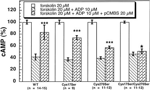 Fig. 6. Effects of pCMBS on 10 μM ADP-induced adenylyl cyclase inhibition in CHO-K1 cells stably expressing human platelet P2Y12 wild type and mutants. / Cells expressing the wild-type or mutant P2Y12 receptors were pretreated with pCMBS for 10 minutes at 37°C before the addition of 20 μM forskolin. Data were normalized to the value obtained with forskolin alone (mean, ± SE. *P > .05, ***P < .001 compared with forskolin 20 μM + ADP 10 μM by t test).