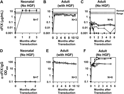 Fig. 2. Levels of cFIX expression and anti-cFIX IgG antibody after transduction of normal BALB/c mice. / (A) Levels of cFIX in mice transduced as neonates. Neonatal normal BALB/c mice were injected intravenously with a single dose of 1 × 1010 TU/kg hAAT-cFIX–WPRE at 2 or 3 days after birth. Plasma cFIX levels were determined by immunoassay at the indicated time after transduction, and the average at each point ± standard error of the mean (SEM) is shown. The number of animals evaluated (N) is shown. The normal range of cFIX (3 to 8 μg/mL) is indicated by a gray bar. (B) Levels of cFIX in mice transduced as adults with preceding HGF. Adult BALB/c mice were injected intravenously with RV after administration of HGF as diagrammed in Figure 1B, and plasma cFIX antigen levels were determined. Values for individual mice are shown. (C) Levels of cFIX in mice transduced as adults without preceding HGF. Adult BALB/c mice were injected with RV after administration of PBS as diagrammed in Figure 1B, and plasma cFIX antigen levels were determined. Values for individual mice are shown. (D) Anti-cFIX IgG antibody levels in mice transduced as neonates. Plasma from the mice whose cFIX levels are shown in panel A was tested for anti-cFIX–specific antibodies at the indicated times after transduction as detailed in “Materials and methods.” The antibody levels are presented as the specific OD observed for a sample that was captured with cFIX minus the nonspecific signal for that sample, times the dilution of the plasma sample that was used. None of the animals had detectable antibodies. (E) Anti-cFIX IgG antibodies in mice transduced as adults after preceding HGF. Plasma from the mice whose cFIX levels are shown in panel B was tested for anti-cFIX–specific antibodies. Individual animals have the same symbol in both panels. (F) Anti-cFIX IgG antibodies in mice transduced as adults without preceding HGF. Plasma from the mice whose cFIX levels are shown in panel C was tested for anti-cFIX–specific antibodies. Individual animals have the same symbol in both panels.