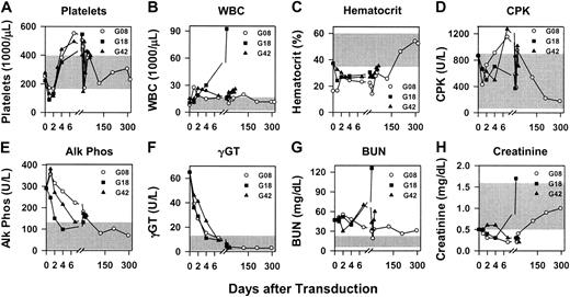 Fig. 6. Evaluation of blood tests after neonatal transduction of hemophilia B dogs. / Newborn hemophilia B dogs were injected intravenously with 0.8 to 1.3 × 1010 TU/kg hAAT-cFIX–WPRE at 2 days after birth as detailed in “Materials and methods.” Blood tests were evaluated at the indicated times after the first dose of RV. For all panels, the range of normal values for that test for adult dogs is indicated by the shaded region. (A) Platelets. (B) White blood cell (WBC) count. (C) Hematocrit. (D) Creatine phosphokinase (CPK). (E) Alkaline phosphatase (Alk Phos). (F) γ-glutamyl peptidase (γGT). (G) Blood urea nitrogen (BUN). (H) Creatinine.
