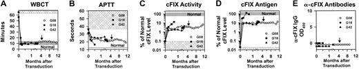 Fig. 7. Evaluation of expression and clinical effect after neonatal transduction of hemophilia B dogs. / Neonatal hemophilia B dogs were treated with gene therapy as described in the legend to Figure 6. The arrow for G08 at 4 months after transduction indicates a minor bleed that was treated with 2 doses of canine plasma. G18 died of pyelonephritis at 18 days after gene transfer, whereas G08 and G42 are still being followed. (A) Whole blood clotting time (WBCT). The whole blood clotting time is 8 to 13 minutes for normal dogs (gray shaded region), and longer than 60 minutes for hemophilia B dogs (hatched region). (B) aPTT coagulation assay. The range of aPTT for normal dogs from the same colony (average ± 2 standard deviations) is 11.6 to 12.6 seconds (gray shaded region). The range of aPTT for 5 untreated hemophilia B dogs from the same colony was 37.5 to 59.1 seconds (hatched region). (C) Percentage of normal cFIX activity. The percentage of normal cFIX activity in the plasma samples from the RV-treated dogs was determined by comparing the aPTT with a standard curve generated by means of mixtures of normal and cFIX-deficient dog plasma. The normal range (normal) of cFIX (60% to 160%) is indicated by the gray shaded region. Untreated hemophilia B dogs have less than 0.1% of normal activity (hatched region). (D) Percentage of normal cFIX antigen levels. The cFIX antigen levels were determined by immunoassay and compared with the level present in a pool of normal dog plasma from the Chapel Hill colony to determine the percentage of normal antigen levels. The normal range (normal) of cFIX is 60% to 160% (3 to 8 μg/mL) and is indicated by the gray shaded region. Untreated hemophilia B dogs (HB) have less than 0.02% of normal cFIX antigen levels, as indicated by the hatched region. (E) Anti-cFIX IgG antibody levels. Dogs were tested for anti-cFIX IgG antibodies as detailed in “Materials and methods.”