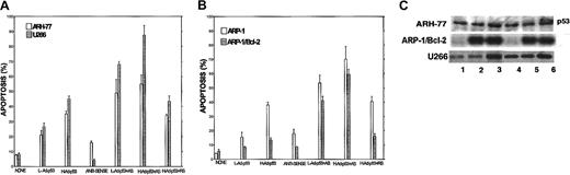 Fig. 10. Potentiation of Ad-p53–induced apoptosis. / Bcl-2-ASO potentiates Ad-p53–induced apoptosis in ARH-77, U266 (A), and ARP-1 (B) cells. Cells were pretreated with or without 5 μg/mL Bcl-2-ASO for 3 days. Cultures were further incubated with Bcl-2-ASO plus low-dose (1000 vp/cell) or high-dose (2000 vp/cell) Ad-p53 for an additional 2 days. Cultures treated for 2 days with high- or low-dose Ad-p53 alone were also performed. Apoptosis was determined by annexin V. Bcl-2-ASO was replenished every other day. Bars are ± SD of at least 3 experiments. (C) Western immunoblotting for detection of p53 in Ad-p53–transduced cells. Cells were cultured as in panels A-B, and aliquots were taken for protein extraction and Western immunoblotting as described in the legend to Figure 1. Lane 1 indicates control, untreated cells; lanes 2 and 3, cells transduced for 1 day with low- and high-dose Ad-p53, respectively; lane 4, cells treated with Bcl-2-ASO for 5 days; lanes 5 and 6, cells pretreated for 3 days with Bcl-2-ASO followed by 2 days of transduction with low- and high-dose Ad-p53, respectively.