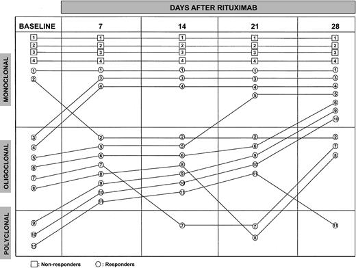 Fig. 2. PCR analysis of peripheral B-cell clonal expansions before and during 4-dose rituximab.