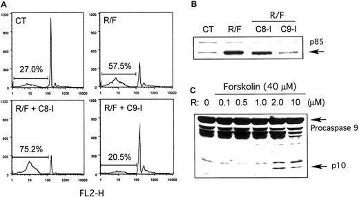Fig. 2. Association of rolipram/forskolin-induced CLL apoptosis with caspase-9 activation. / Rolipram/forskolin-induced CLL apoptosis is associated with caspase-9 activation and is inhibited by a caspase-9 inhibitor but not a caspase-8 inhibitor. (A) CLL cells were incubated with media alone (CT) or with 10 μM rolipram and 40 μM forskolin alone (R/F) or in the presence of the caspase-8 inhibitor Z-IETD-Fmk (C8-I) or the caspase-9 inhibitor Z-LEHD-Fmk (C9-I). After 48 hours, apoptosis was quantitated as hypodiploid events on propidium iodide flow cytometry. These data are representative of results obtained with leukemic cells from 4 of 5 CLL patients. (B) Caspase-mediated cleavage of PARP to p85 was assessed by immunoblotting CLL cells cultured for 18 hours as in panel A. (C) CLL cells treated for 18 hours with 40 μM forskolin and the indicated concentration of rolipram (R) were assessed for cleavage of procaspase-9 to p10 (arrow) by immunoblotting. Similar results were obtained in 5 of 6 CLL patients.
