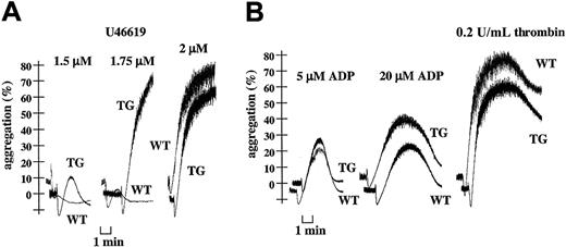 Fig. 4. Increased U46619-induced platelet aggregation and normal responses to ADP and thrombin with transgenic platelets. / Light transmission (%) recordings in apyrase (1 U/mL)–treated washed WT or TG mouse platelets stimulated with thromboxane A2 mimetic U46619 (1.5-1.75-2 μM) (A) or HPLC-purified ADP (5-20 μM) and thrombin (0.2 U/mL) (B). Data are representative of at least 3 independent experiments performed in duplicate on platelets from WT and TG mice.