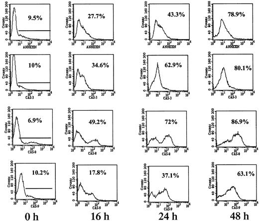 Fig. 6. Caspase-8 is the dominant activated caspase in cells with mutated p53. / RPMI 8226 cells were cultured for 0, 16, 24, and 48 hours with or without 7.5 μM ATO followed by 1 hour of incubation with FITC-tagged caspase peptides specific for caspase-3, -8, and -9 as recommended by the manufacturer. FITC–caspase substrate peptides had 5% to 10% background staining (0 h). For comparison, apoptosis was determined in separate tubes by the FITC–annexin V. Fluorescence was quantitated by flow cytometry as described in “Materials and methods”; 10 000 cells were analyzed for each sample. Representative results from at least 3 different experiments are shown. For additional experimental details, see “Materials and methods.” Note the similar kinetics between apoptosis and caspase activity. Note also the preferential activation of caspase-8 over caspase-9 in RPMI 8226 cells.