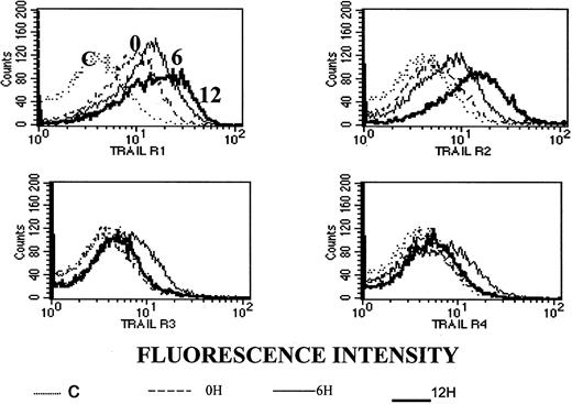 Fig. 10. Kinetics of ATO-induced up-regulation of R1 and R2 APO2/TRAIL receptors in HS-Sultan cells. / HS-Sultan cells were cultured (0.4 × 106/mL) in RPMI medium plus 15% FCS for 0, 6, and 12 hours with 4 μM ATO. Surface expression of APO2/TRAIL receptors was determined by indirect staining with monoclonal antibodies specific for R1, R2, R3, and R4 APO2/TRAIL receptors. The thin dotted line is the immunoglobulin isotype-matched control (C); the dashed line represents time 0; the thin solid line represents 6 hours with ATO; and the thick solid line represents 12 hours with ATO. R1 to R4 are antibodies to the various APO2/TRAIL receptors; 10 000 cells were analyzed in the live cells gate determined by light scatter. For additional experimental details, see “Materials and methods.” It is clear that ATO up-regulates the expression of R1 and R2 APO2/TRAIL receptors as early as 6 to 12 hours after induction.