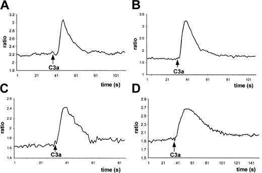 Fig. 5. C3a induces calcium flux in lineage-expanded hematopoietic cells. / Normal human BM Fura-2–loaded MNCs (A), myeloblasts (B), erythroblasts (C), and megakaryoblasts (D) were stimulated by C3a (1 μg/mL) added at the indicated time points, and calcium flux was evaluated by spectrophotofluorimetry. Data presented are from a representative experiment, which was repeated 5 times for BM cells and 3 times for myeloblasts, erythroblasts, and megakaryoblasts with similar results.