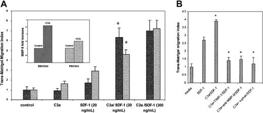 Fig. 7. C3a enhances SDF-1–dependenttrans-Matrigel migration and secretion of MMP-9. / (A) Stimulation of SDF-1–dependent trans-Matrigel migration of human CD34+ cells by C3a. BM CD34+ (▪) and mobilized PB CD34+ cells (░) prestimulated or not with C3a (1 μg/mL) were loaded onto Boyden chambers and allowed to migrate across Matrigel toward media alone (control) or toward an SDF-1 gradient (20 or 300 ng/mL). Each experiment was performed using at least 4 chambers for each set of conditions and cell counts were done in duplicate. *P < .002. (Inset) Stimulation of MMP-9 secretion by C3a. Media conditioned by BM- or PB-derived CD34+ cells preincubated or not with C3a (1 μg/mL) were analyzed by zymography. The bands indicating MMP-9 activity were quantitated by densitometric analysis, and fold stimulation of MMP-9 secretion in the presence of C3a was calculated relative to control. The data shown are pooled from experiments using 3 to 4 samples of BM and PB CD34+ cells. (B) Inhibition of SDF-1–dependent trans-Matrigel migration by MMP inhibitors. PB CD34+ cells were preincubated with C3a (1 μg/mL) with or without 10 μg/mL each of rhTIMP-1 or anti–MMP-9 monoclonal antibody for 2 hours or with 0.5 mMo-phenanthroline for 30 minutes. The bottom chambers contained 20 ng/mL SDF-1 except for the control (media alone). Each experiment was performed using at least 4 chambers for each set of conditions and cell counts were done in duplicate. *P < .0001.