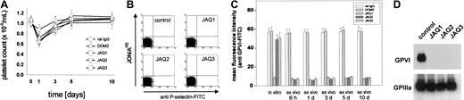 Fig. 3. JAQ1, JAQ2, and JAQ3 deplete GPVI in vivo. / (A) Platelet counts from antibody-treated mice were monitored over 10 days after injection of the indicated antibodies (all 100 μg). Results are expressed as mean ± SD of 9 mice/group. (B) Flow cytometric analysis of P-selectin expression and GPIIb/IIIa activation on platelets from JAQ1-, JAQ2-, JAQ3-treated mice or control mice on day 3 after injection. The results shown are representative of 6 mice/group. Similar results were obtained at all other time points tested. (C) Diluted blood collected at the indicated time points after antibody injection was incubated with FITC-labeled JAQ1 (5 μg/mL) for 15 minutes at RT and analyzed directly. Results are presented as mean ± SD of 9 mice/group. (D) Whole platelet proteins were separated by SDS-PAGE under nonreducing conditions and immunoblotted with HRP-labeled JAQ1 (anti-GPVI) or EDL1 (anti-GPIIIa) followed by ECL.