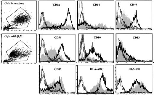 Fig. 2. Phenotypic features of immature MoDCs. / MoDCs were harvested on day 7 of culture with (shaded histograms) or without (open histograms, thick lines) the addition of 20 μg/mL recombinant β2M. Open histograms with thin or broken lines represent control antibody staining of the cells. Representative histograms of 5 independent experiments are shown. Gates were set on the large-size cell populations.