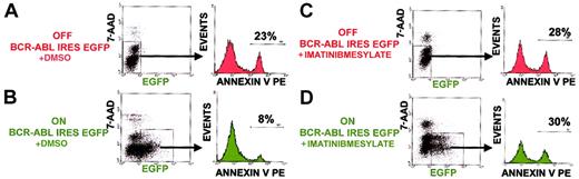 Fig. 3. BCR-ABL tyrosine kinase activity is required to suppress apoptosis in hematopoietic progenitors. / Percent apoptotic progenitors were analyzed by annexin V binding with progenitors already progressed to the stage of membrane permeability excluded by 7-AAD intercalation into DNA. Shown are representative results of an experiment done in triplicate cultures. Similar results were obtained in another independent experiment done in triplicate cultures.