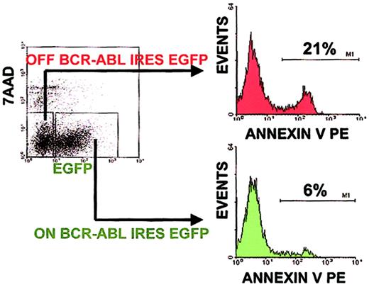 Fig. 4. BCR-ABL suppresses programmed cell death in a cell autonomous manner. / Percent apoptotic progenitors were analyzed as in Figure 3. To determine BCR-ABL cell autonomous versus noncell autonomous effects, the percent of apoptotic progenitors was analyzed within a culture containing both BCR-ABL–expressing and control cells by gating on EGFP+ and EGFP− cells, respectively. A representative result of an experiment done in triplicate cultures is shown. Similar results were obtained in 3 independent experiments done in triplicate cultures.