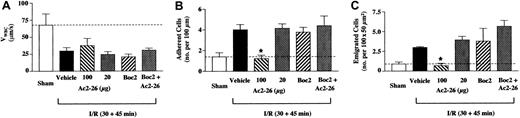 Fig. 2. Peptide Ac2-26 inhibits the leukocyte-endothelium interaction in I/R-inflamed mesenteric vessels of WT mice. / WT mice were administered, through the jugular vein, PBS (100 μL; vehicle group), peptide Ac2-26 (20 or 100 μg corresponding to 6.6 and 33 nmol), Boc2 (10 μg corresponding to 12 nmol), or Boc2 + Ac2-26 (100 μg) at the beginning of the reperfusion period (ie, 30 minutes after ischemia), and mesenteries were recorded 45 minutes later. A group of sham mice was also included and analyzed 75 minutes after laparoctomy. The leukocyte-endothelium interaction was quantified in terms of (A) velocity of white blood cell rolling (expressed as VWBC); (B) number of adherent cells per 100 μm vessel length; and (C) number of emigrated cells per 100 × 50 μm2 area (see also Figure 1B). Data are mean ± SEM of n = 6 mice per group (n = 4 for sham group). Dotted lines highlight the sham values. *P < .5 versus respective vehicle-treated group.